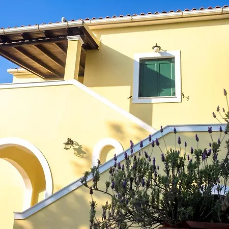 Blue Wave With Pool 100m From The