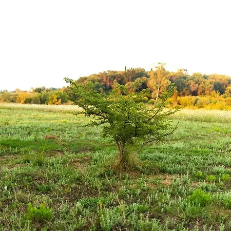 Blue Wave With Pool 100m From The Apartament Karousádes