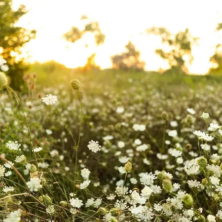 Blue Wave With Pool 100m From The *