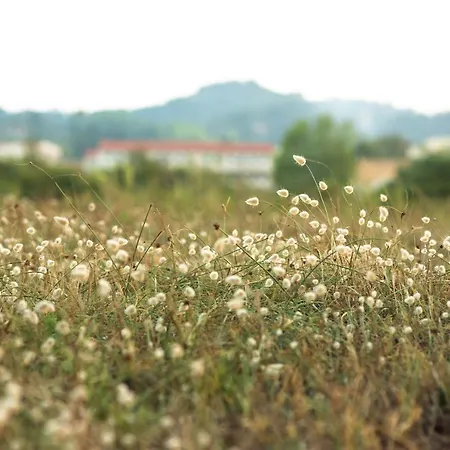 Blue Wave With Pool 100m From The