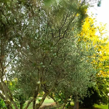 Blue Wave With Pool 100m From The カロウセイズ