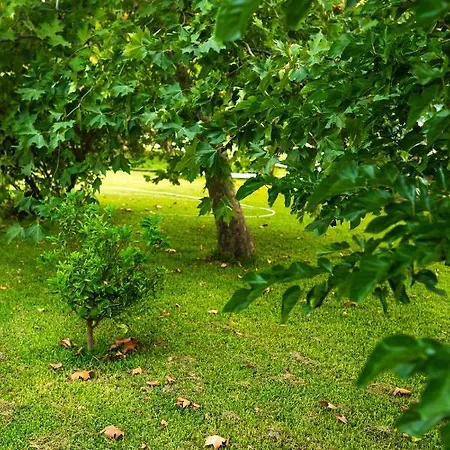 Apartamento Blue Wave With Pool 100m From The